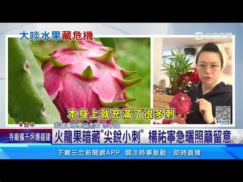 火龍果刺|火龍果刺：利大於弊？